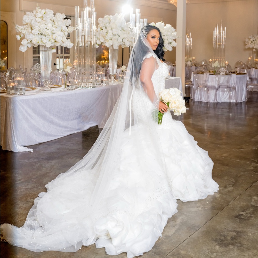 Amanda Novias Mermaid Wedding Dress & Pearl Veil / Fashion Nova Dress & Robe